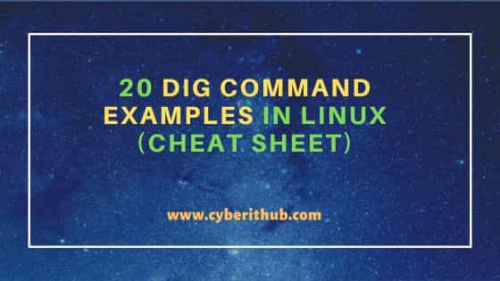 20 dig command examples in Linux (Cheat Sheet)